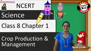 NCERT Class 8 Science Chapter 1: Crop Production & Management (NSO/NSTSE/Olympiad) | English - Download this Video in MP3, M4A, WEBM, MP4, 3GP