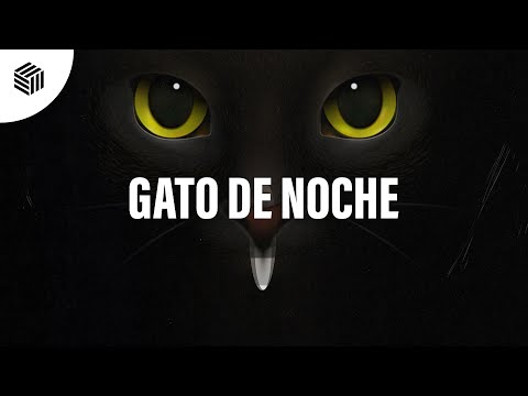 R3JA, GRHHH & Sergio Ochoa - Gato de Noche