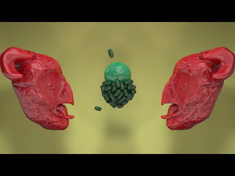 Murlo — Roman Baths [Official]