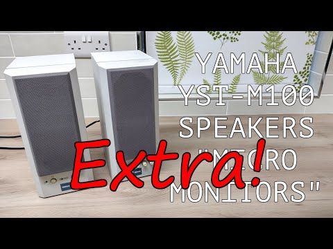 Yamaha YST M100 Extra Info