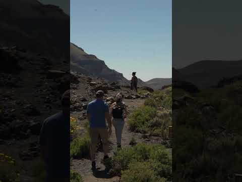 Vamos a vivir lo que verdaderamente importa!