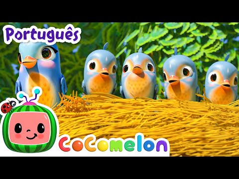 Os cinco passarinhos | Cocomelon em Português | Desenhos Animados e Músicas Infantis