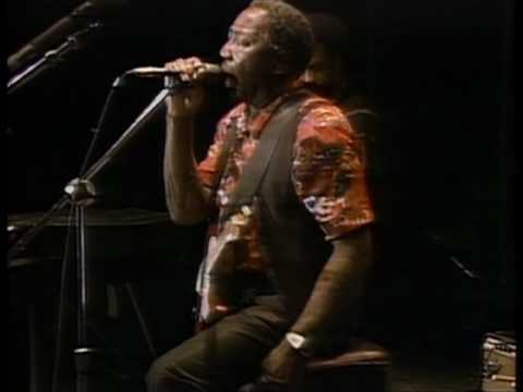Muddy Waters - Trouble No More - ChicagoFest 1981