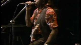 Muddy Waters - Trouble No More - ChicagoFest 1981