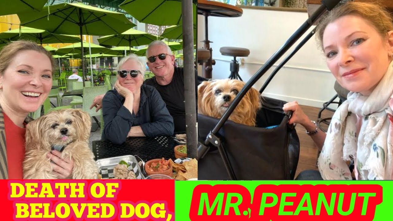 YouTube Thumbnail Downloader FULL HQ IMAGE