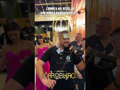 Veselje kod Borka Radivojevića - Kristijan Petrovic Kiki i orkestar Čarobnjaci