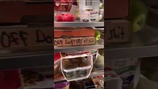 Download lagu Jake Paul Instagram Story - June 11, 2019 mp3