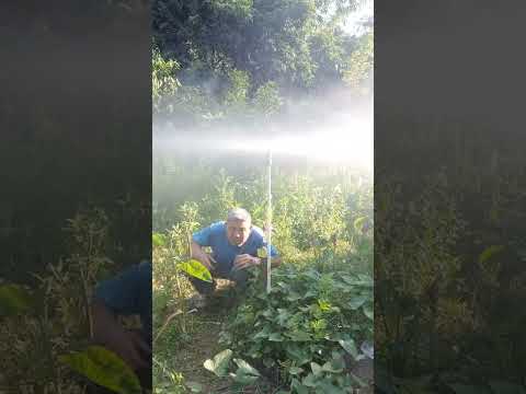 Garden watering rotating sprinkler head Agricultural vegetable watering sprinkler head High perf