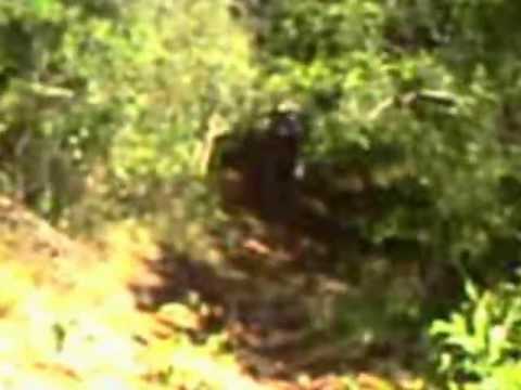 Trilha Rio Paranaiba 20 11 12