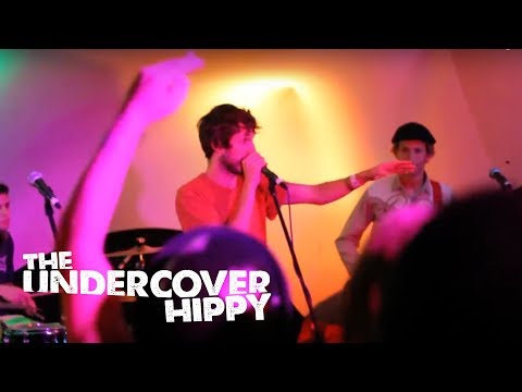 The Undercover Hippy - Freestyle [Buddhafield 2011]