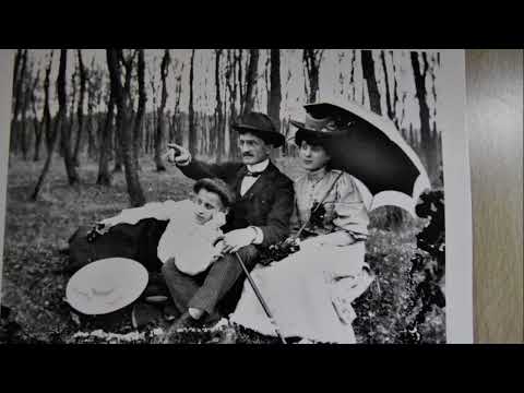 ZÁMEK DOLNÍ BEŘKOVICE