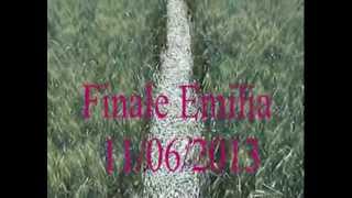 preview picture of video 'Cerchio nel grano Finale Emilia Italia  dettegli 11 06 2013'