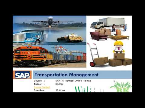 SAP TM Technical - Karthik