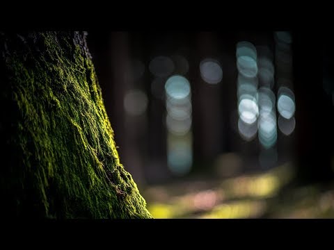 ČUVAJ SE DOVE ONOG KOME SI NEPRAVDU UČINIO || dr. Hakija Kanurić