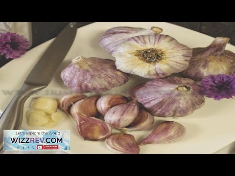 Garlic (Hard Neck) Chesnok Red – Seeds Review