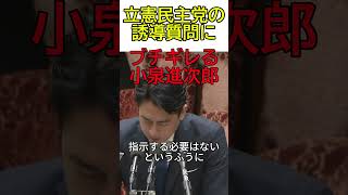 立憲民主党の誘導質問にブチギレる小泉進次郎#政治 #経済 #自民党 #小泉進次郎