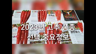 2023  고추농사 어떤 품종으로 선택해야 하나?