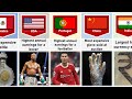 World Records From Different Countries