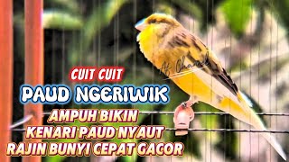 Download lagu PANCINGAN KENARI PAUD BELAJAR BUNYI CUIT CUIT NGERIWIK BIKIN KENARI PAUD NYAUT RAJIN BUNYI GACOR mp3