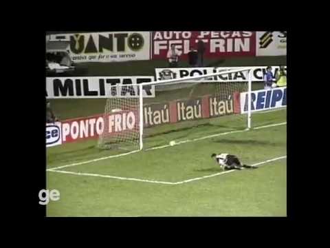 Rio Branco 1x2 Palmeiras - Campeonato Paulista 1996