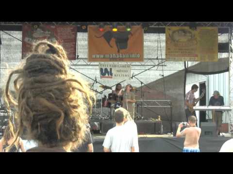 REGGAE AREA 2016 - COTTONBUTS