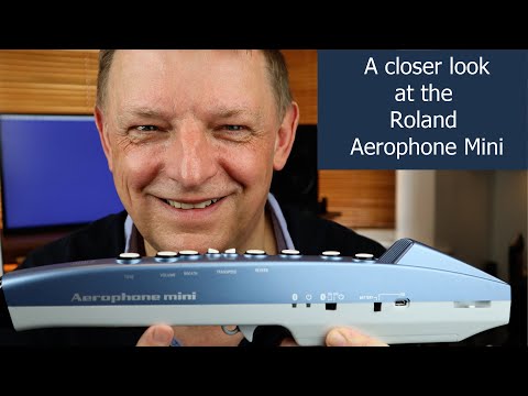 ROLAND AE 01 Aerophone Mini Dijital Nefesli Enstr man Fiyat
