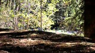 Maybe There&#39;s A World