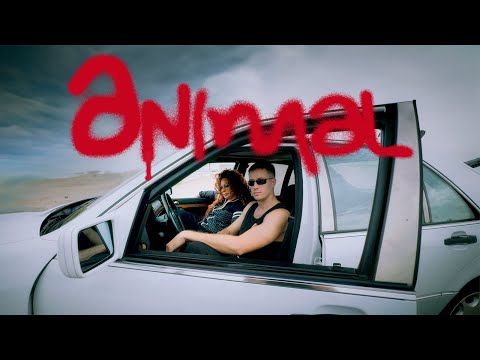 GAZDA PAJA x STOJA - ANIMAL [OFFICIAL VIDEO]