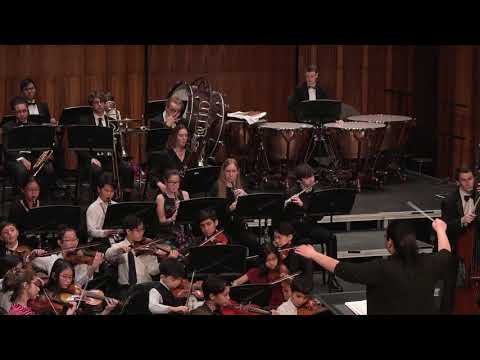 Tchaikovsky-Swan Lake, Scene No. 1