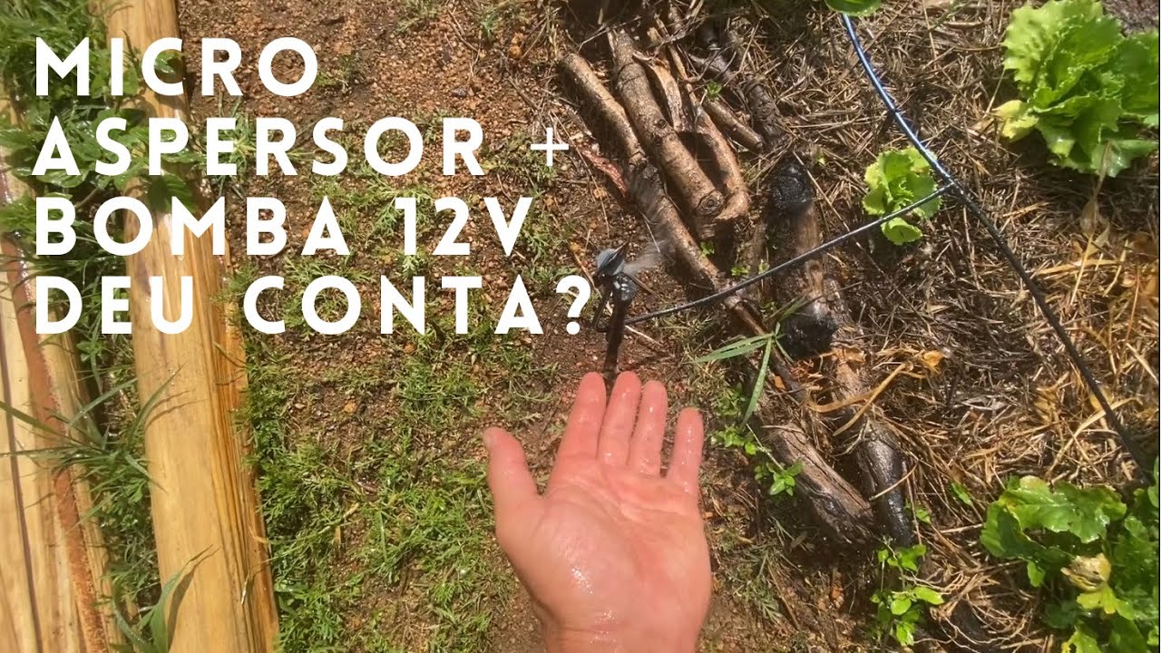 Irrigação micro aspersão + bomba 12v com água de reuso