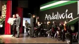 Gines Día de Andalucía 2014 - Entrega de distinciones