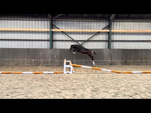 Jumping Movie Europapa RV Z.