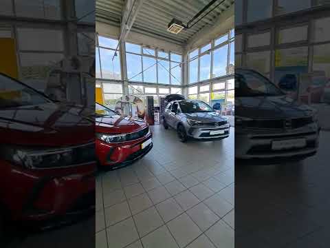 MOKKA OR CROOSLAND? #shorts