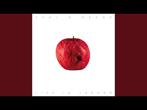 Hold Your Head Low (Live in London)