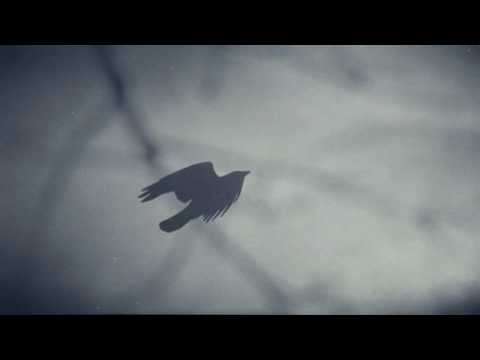 In The Branches - Planetary Confinement - Official Video (ambient guitar, space music, PNW)