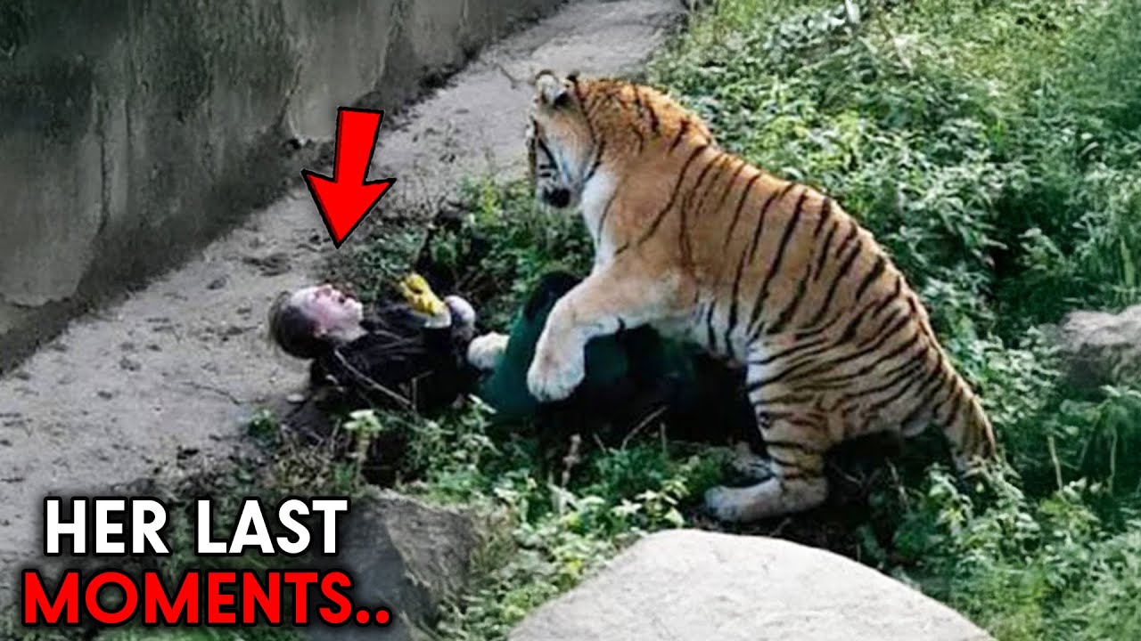 The Most TERRIFYING Zoo Attacks Ever Caught on Camera