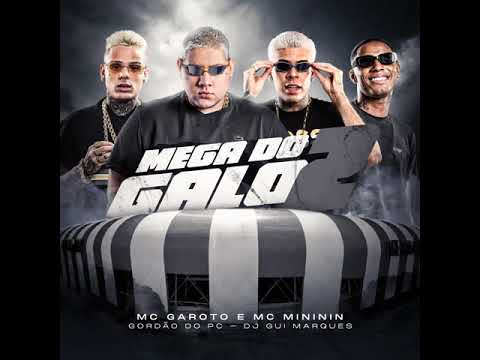 Mega do Galo 2