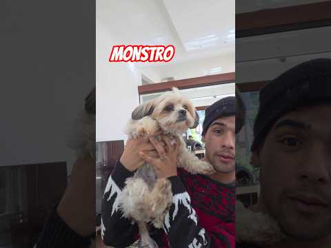 A origem DO MOSTRO DESTRUIDOR DE SONOS 🐶 #shorts