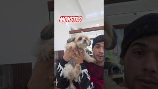 Video thumbnail image