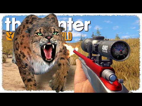 I Hunted EVERY PREDATOR in CotW (don't do this) | theHunter: Call of the Wild