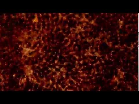 video frame placeholder