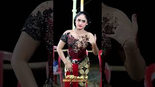 Download lagu Ndemok Andek Sampur mp3