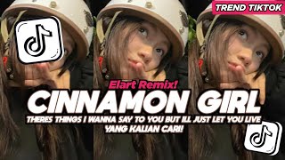 Download lagu DJ CINNAMON GIRL THERES THINGS I WANNA SAY TO YOU BUT ILL JUST LET YOU LIVE FULL SONG VIRAL TIKTOK mp3