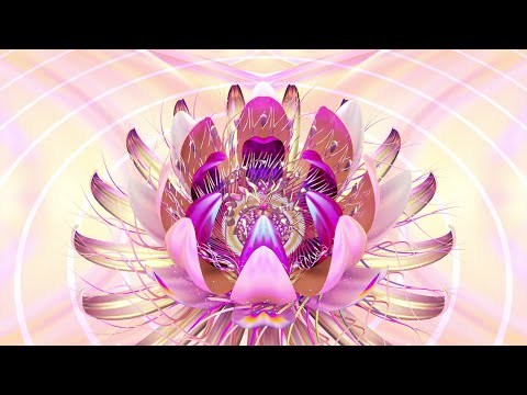 Bassnectar - Was will be (ft. Mimi Page) - Visual edit