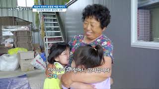 [나는 농부다] 복숭아 부부의 분홍빛  여름이야기 2부