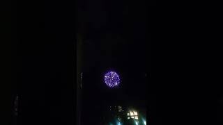 まだ3月なのに花火上がってた！
