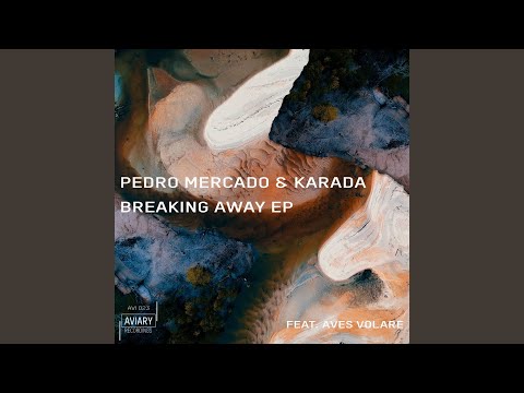 One for Me feat. Aves Volare (Vocal Mix)