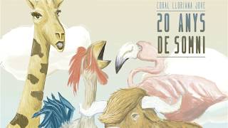 Preparatius 20 anys de somni