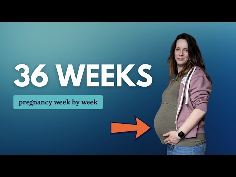 36 Weeks Pregnant 🤰 What to Expect: Changes for You & Baby Movement and Development