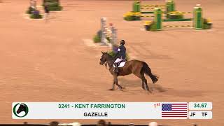 Video of Gazelle